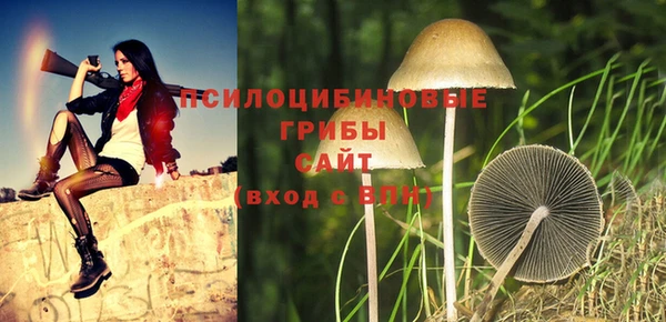 трава Липки