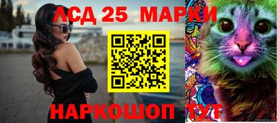 apvp Камышлов
