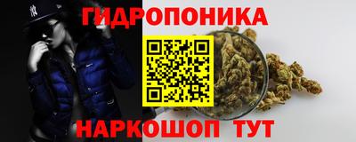 гашиш Кингисепп