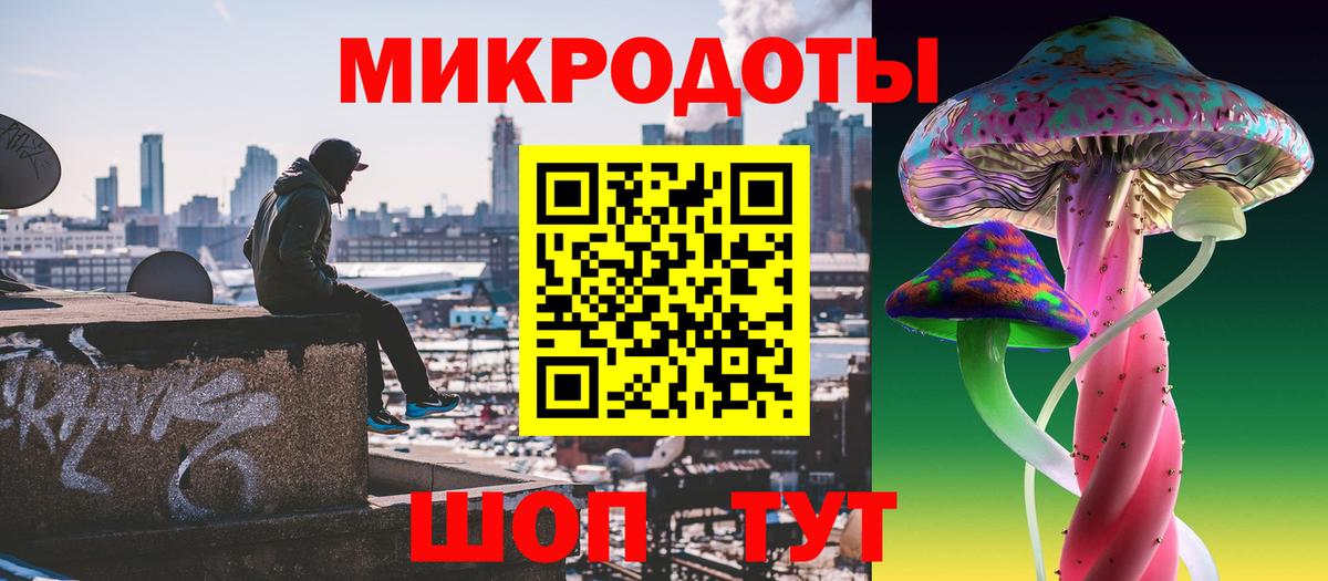 Галлюциногенные грибы Cubensis Луга
