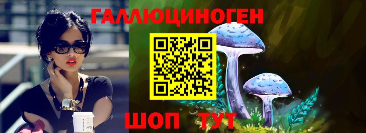 Галлюциногенные грибы прущие грибы  Вход с VPN  Галлюциногенные грибы GOLDEN TEACHER  хочу   Луга 